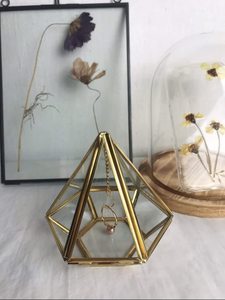 Art India <b>Terrarium</b> Made of Brass and Glass Classic Style Customized Size for Home and Office Decoration Gold Color - Product Image 5