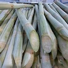 ฉลากสะอาดจากอ้อยแช่แข็งธรรมชาติอุดมไปด้วยวิตามินและอิเล็กโทรไลต์ - Product Image 4