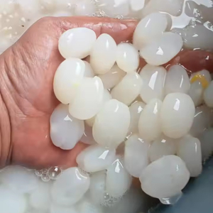 चीनी ताड़ का फल - Product Image 1