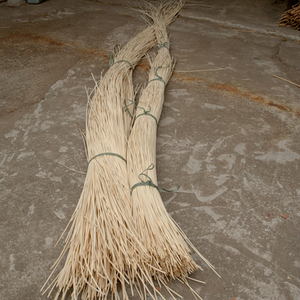 Material de núcleo de mimbre pulido redondo, de Vietnam, Akina - Product Image 6