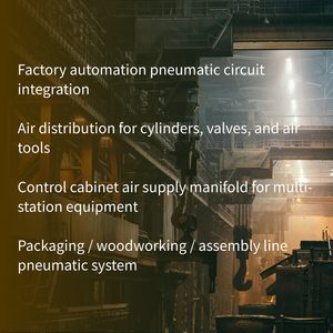 Bloc de collecteur pneumatique en aluminium / Base de collecteur de distribution d'air. OEM/ODM. Multi-Port.ASLS14R2H - Product Image 2