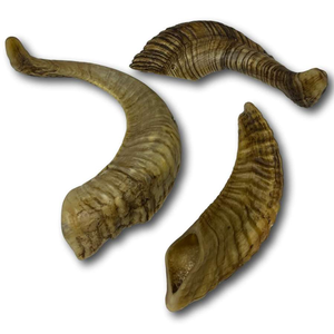 ฮอร์นขนแพะของตกแต่งงานปาร์ตี้ที่แขวนติดผนังของตกแต่งงานปาร์ตี้ขายดี - Product Image 6