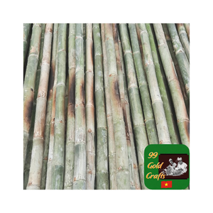 Fabricant de poteaux en bambou naturel du Vietnam, poteaux en bambou en vrac pour l'exportation avec des offres attrayantes et un support fiable pour les grosses commandes - Product Image 5