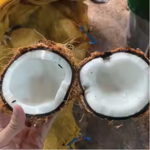 มะพร้าวอบแห้งแบบอร่อยผลิตภัณฑ์ทางการเกษตรระดับพรีเมียมสำหรับอาหารจากผู้จำหน่ายในเวียดนาม - Product Image 3