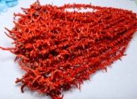 Perles brutes de bâton de corail rouge italien naturel perles de pierres précieuses de corail italien taille 30X4MM à 7X3MM 16'Inch fabrication de bijoux