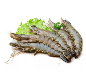 กุ้งกุลาดำแช่แข็งคุณภาพสูงสด iqf - Product Image 5