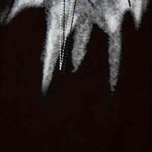 เสื้อยืดพิมพ์ลาย DTF แบบพรีเมี่ยมสำหรับผู้ชายทำจากโครงสร้างเนื้อนุ่มยืดหยุ่นและพิมพ์รายละเอียดได้อย่างแม่นยำหลากสี - Product Image 6