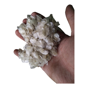 เกล็ดปลาจากเวียดนามแห้งแดด - Product Image 6