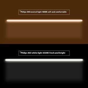 Philips Master <span class=keywords><strong>PL</strong></span>-L h-tipi 4PIN MASTER <span class=keywords><strong>PL</strong></span>-L 36W/865/4P 1CT/25 927903486570 PHILIPS PLL 4PIN lamba PHILIPS 2lamp lamba - Product Image 6