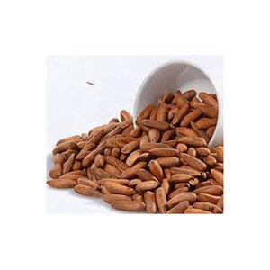 เมล็ดถั่วสนบริสุทธิ์จากธรรมชาติ100% เมล็ดสนเกรดอาหารออร์แกนิกที่ได้รับความไว้วางใจ - Product Image 6