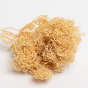 Ietnamese-seamoss secos, mejor calidad, precio barato - Product Image 5