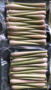 La mejor oferta en limoncillo congelado IQF de alta calidad, aromático, perfecto para cocinar y bebidas, gran precio para pedidos a granel - Product Image 4