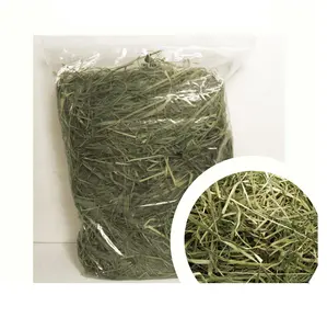 Animal Feeding Timothy or Alfalfa Hay in Bales for Sale for Wholesale/ Bermuda Orchard Grass Oat Hay