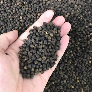 ผู้จัดจำหน่ายที่เชื่อถือได้ พริกไทยดำแห้งออร์แกนิก แปรรูปดิบ ได้รับการรับรองมาตรฐาน ISO ส่งตรงจากโรงงานในเวียดนาม +84 35 916 9566 - Product Image 5