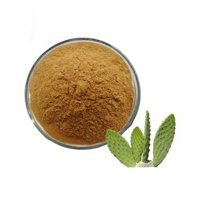 Suero para el Cuidado de la Piel con Extracto Seco de Cactus en Polvo - Product Image 3