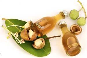 Aceite de Tamanu orgánico de alta calidad utilizado para la industria cosmética, exportadores y fabricantes al por mayor del sur de la India al mejor precio - Product Image 5