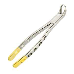 PINZA DE EXTRACCIÓN DE CUERNO DE VACA MOLAR INFERIOR PATRÓN AMERICANO Equipo Dental Venta caliente Fórceps de extracción de dientes dentales - Product Image 1