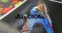 Impresora UV Plana Industrial Jucolor 2513 para Juguetes, Impresora de Inyección de Tinta Decorativa Cerámica Digital UV de Gran Formato, Máquina UV 2513