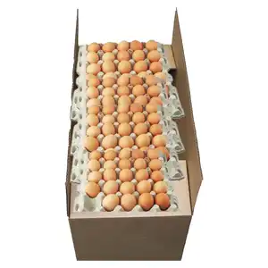 Chicken Eggs Ostrich Eggs, Chicken Eggs, Turkey Eggs Fresh Table Eggs Brown And White-