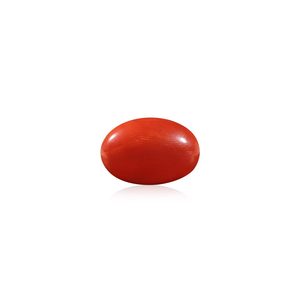 Coral rouge de haute qualité, 7,58 carats, forme ronde, pierre précieuse polie, 8 mm de hauteur et 6 mm de largeur, couleur blanche - Product Image 1