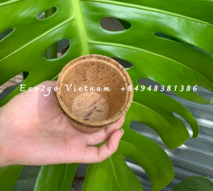 Pot en fibre de coco biodégradable 100% en gros/fibre de coco pour pot/pot de fleur en fibre de coco fabriqué en Eco2go Vietnam - Product Image 4