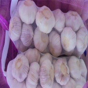 Ajo Fresco Orgánico de la Mejor Calidad, Cabeza de Ajo Púrpura, Blanco Puro, Rojo, para Exportación, en Sacos de 10kg y 20kg, Venta al Por Mayor - Product Image 3