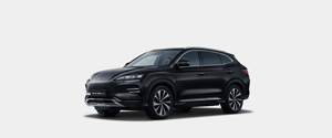 BYD Seal <span class=keywords><strong>U</strong></span> - Product Image 4