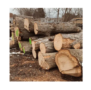 Fresh Cut Oak Wood Round Logs - Wholesale Price, Large Quantity Available - Product Image 4