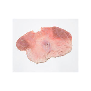 100% Estómagos de cerdo congelados conservados Naturaleza fresca Estómagos de cerdo congelados Carne Color Limpio - Product Image 6