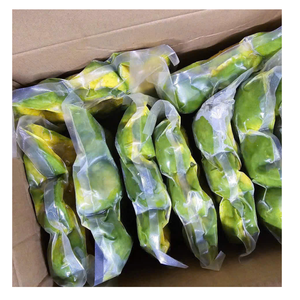 Aguacate congelado de Vietnam de primera calidad para postres batidos y pedidos al por mayor de procesamiento de alimentos - Product Image 1