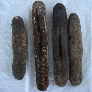 Concombre de mer surgelé sous vide, livraison rapide en gros, meilleure qualité, durée de conservation de 24 mois à prix avantageux - Product Image 1