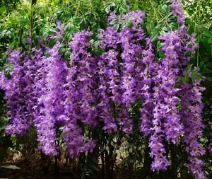 Andmade-guirnalda de flores personalizables, diferentes colores - Product Image 1