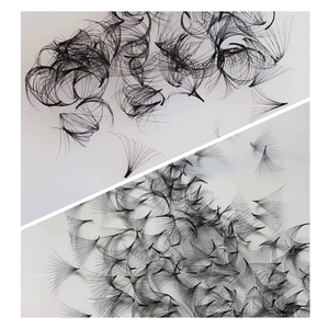 Service OEM d'extensions de cils naturels préfabriqués 12D du Vietnam avec emballage de plateau de beauté Vente en gros - Product Image 3