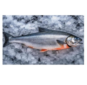 Saumon Sockeye Congelé – Fruits de Mer Congelés de Qualité Supérieure pour l'Exportation Internationale - Product Image 1