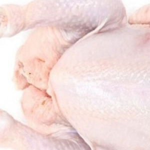 POLLO ENTERO CONGELADO ENTERO HALAL DE ALTA CALIDAD POLLO ENTERO CONGELADO HALAL POLLO ENTERO CONGELADO MEJOR TARIFA - Product Image 5