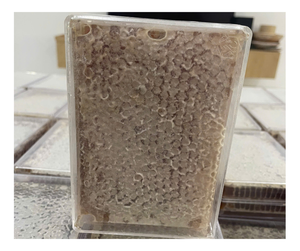 Panal multifloral de Vietnam: pastel de miel de abeja salvaje, calidad superior, mejor oferta de exportación, venta a granel, ofertas competitivas - Product Image 2