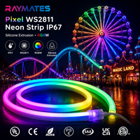 RAYMATES LIGHTING Bande lumineuse LED flexible DC24V adressable Pixel WS2811 pour extérieur, télécommande, IP67, paysage
