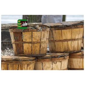 CAJA DE MADERA PARA EXPORTACIÓN DE MARISCOS PARA EL EMBALAJE, ENVÍO Y DISTRIBUCIÓN COMERCIAL DE CANGREJOS VIVOS - Product Image 4