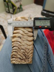 Plaques d'échelle de corne de mouton de bélier polies à la main de qualité supérieure pour poignée de couteau longue durée artisanat technique brute animal - Product Image 3