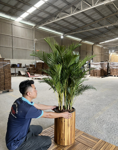Pots en bois contemporains de haute qualité Ensemble de couverture en bois et pots de fleurs et jardinières en poly pour la décoration de la maison - Product Image 5