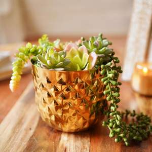 Maceta de flores de hierro sin óxido hecha a mano de imitación antigua, decoración de jardín grabada de calidad de exportación, vajilla de Metal DE LA India - Product Image 5