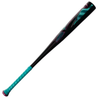 Bâton de baseball en bois d'érable avec logo personnalisé, batte de softball de qualité professionnelle pour joueurs professionnels avec emballage de qualité supérieure