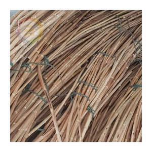 Bastón de mimbre ecológico diseñado para ofrecer elegancia y durabilidad en cada paso - Product Image 5