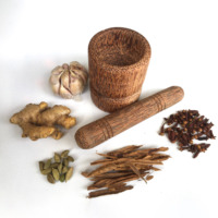 Petit ensemble mortier et pilon en bois de noix de coco pour cuisine outils de broyeur d'herbes à épices en bois de coco palmier