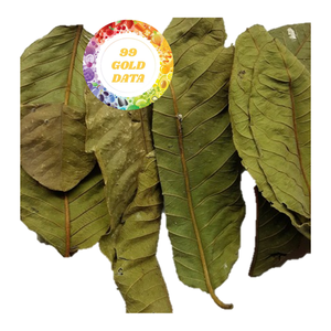 ผลิตใบฝรั่งอบแห้งคุณภาพสูงจากธรรมชาติในเวียดนามในราคาประหยัด - Product Image 1