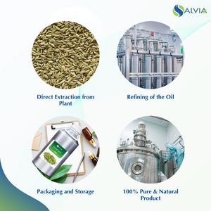 Fabricant d'huile essentielle de fenouil 100% huile biologique Fournisseur et exportateurs indiens avec quantité en vrac d'huile pressée à froid - Product Image 4