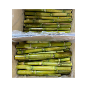 Caña de azúcar congelada para bebidas, 100% ingredientes naturales, sin aditivos, calidad premium de proveedor de confianza en Vietnam - Product Image 6