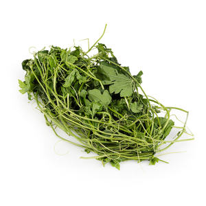 HOJAS DE MELÓN AMARGO PURO SECAS/TÉ DE HERBAS DE DETOX SALUDABLE/ENVASADO A GRANEL PARA EXPORTACIÓN GLOBAL - Product Image 1