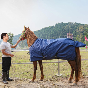 Couverture pour cheval de qualité supérieure personnalisable, douce, respirante, résistante à l'eau, en toile ripstop, rembourrage en laine, nylon et coton - Product Image 6