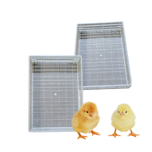 Piso de listón de plástico para aves de corral, nuevo diseño de alta calidad para equipos de aves de corral, personalización, fabricante de Vietnam - Product Image 3